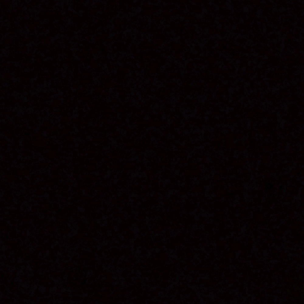 Meet your Posher, Hailey's